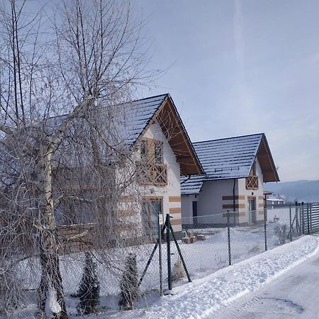 Dom W Gorach Villa ลอมนิซา ภายนอก รูปภาพ